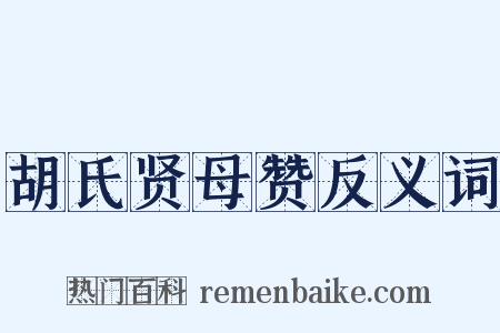 胡氏贤母赞反义词是什么意思的图片